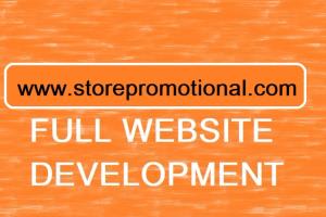 Portfolio for Ali Express Amazon Dropship Ecom Store