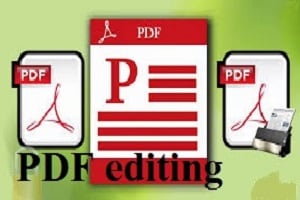 Portfolio for PDF Editing and Conversion to Excel/Word