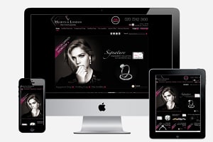 Portfolio for eCommerce Website Development