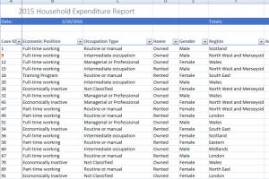 Portfolio for Data entry in Microsoft excel