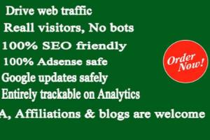 Portfolio for I Will Drive Unlimited Web Traffic