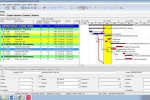 Portfolio for Create and Develop Primavera P6 Projects