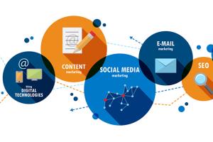 Portfolio for Digital Marketing Consultant