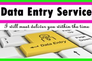 Portfolio for Data Entry Expert