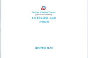 Portfolio for Business Plan