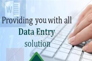 Portfolio for Data Entry, Data Management