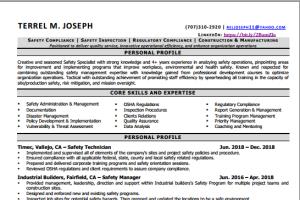 Portfolio for Professional Resume writing