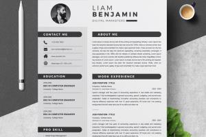 Portfolio for Resume & Cover Letter Writer