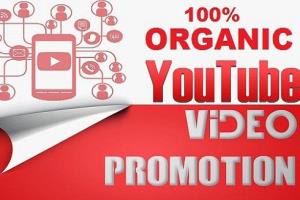 Portfolio for I will do fast organic youtube promotion