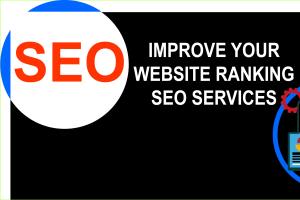 Portfolio for On page SEO | SEO Backlinking