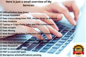 Portfolio for Online and Offline Data Entry Jobs