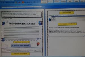 Portfolio for Microsoft(Word, PowerPoint, Excel).
