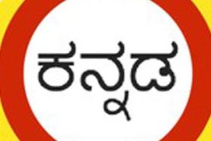 Portfolio for English-Kannada Translator