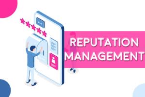 Portfolio for Online Reputation Management