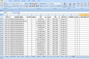 Portfolio for data entry