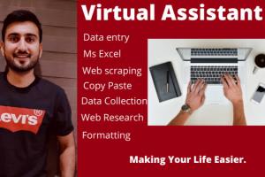 Portfolio for Virtual Assistant