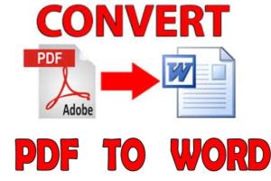 Portfolio for I will convert PDF to WORD Document