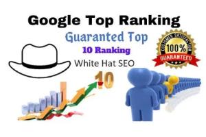 Portfolio for google top ranking your website