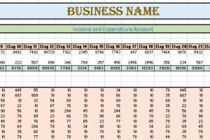 Portfolio for Excel Spreadsheet - Income and Expense