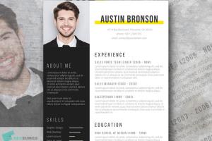 Portfolio for Resume/Cover Letter Writer & Designer