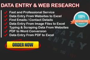 Portfolio for virtual assistant excel data entry PDF