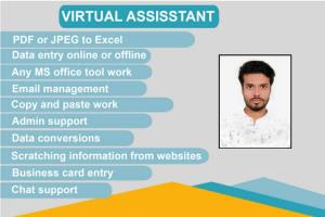 Portfolio for Data Entry Specialist