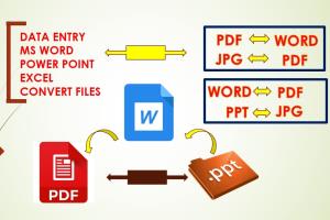 Portfolio for I will create word to pdf & pdf to work.