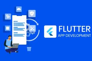 Portfolio for Flutter Mobile App Development