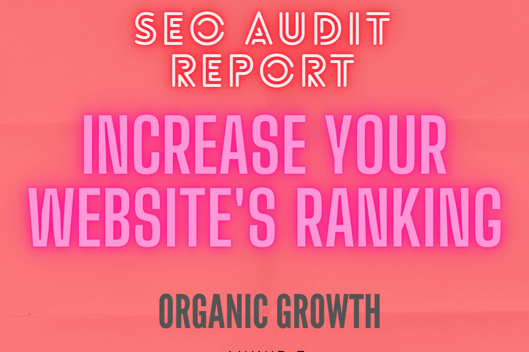 Portfolio for SEO Audit Report