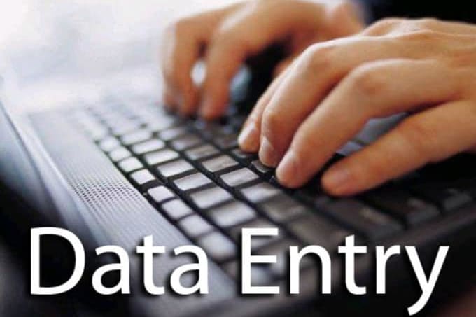 Portfolio for data entry, translator ,writing