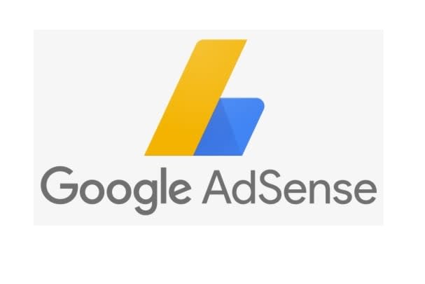 Portfolio for Google Adsense Expert