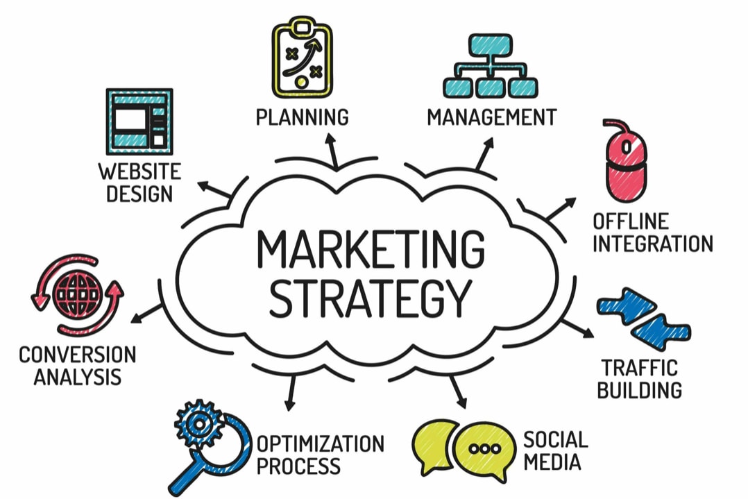 Portfolio for Marketing Strategy Development