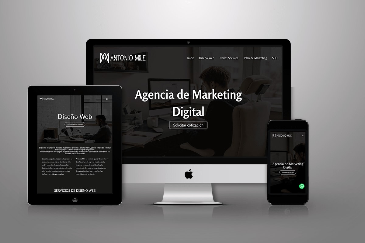 Portfolio for Diseño Web