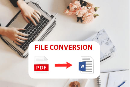 Portfolio for I will convert PDF to word