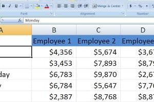 Portfolio for Data Entry| MS Word |Office |