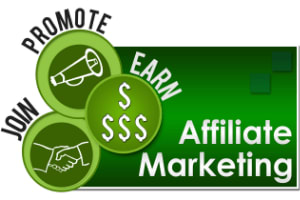 Portfolio for Affiliate Manager