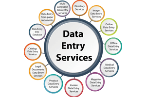 Portfolio for Fast and Accurate Data Entry