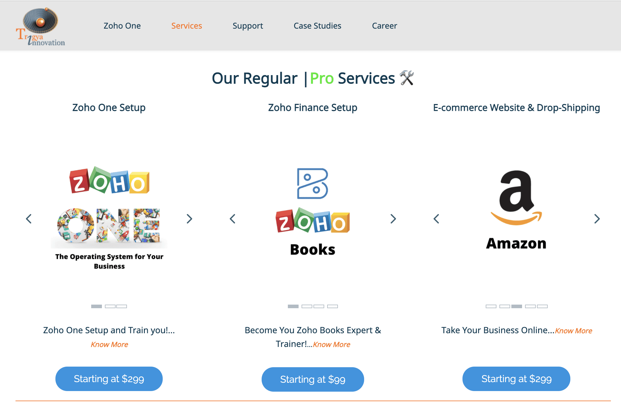 Portfolio for Zoho One: Setup & Train You!