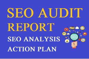 Portfolio for SEO Analysis, SEO Audit Report