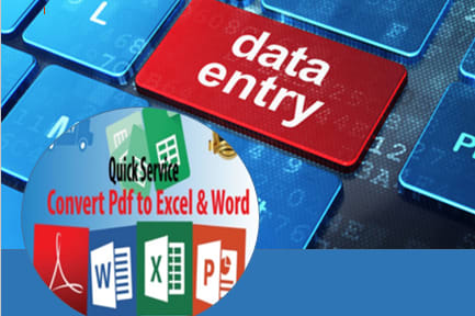 Portfolio for Data Entry and convert pdf to word