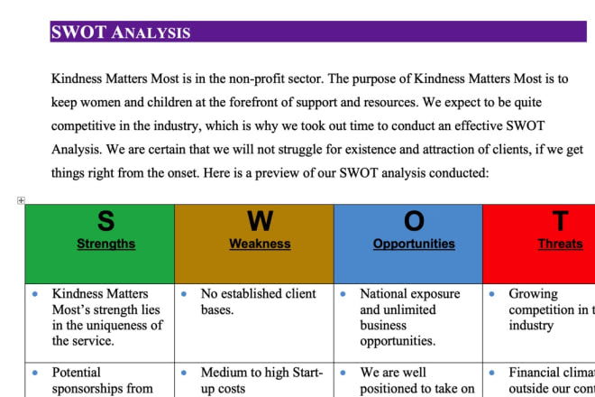 Portfolio for Business plan development