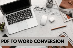 Portfolio for PDF to Word Conversion | Convert a PDF