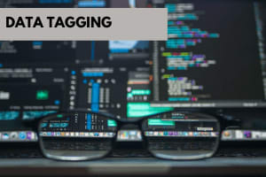 Portfolio for Data tagging | Data Categorization