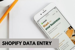 Portfolio for CRM data entry | Shopify data entry