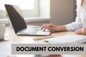 Portfolio for Data Conversion | Document Conversion