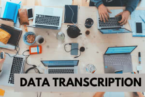 Portfolio for Data Cleaning | Data Transcription