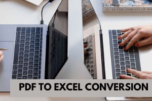 Portfolio for PDF to Excel Conversion | Convert a PDF