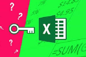 Portfolio for Microsoft Excel Advanced Functions