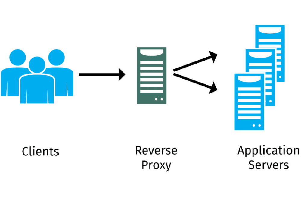 Portfolio for Reverse proxy for web traffic processing