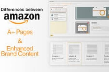 Portfolio for Amazon Stores